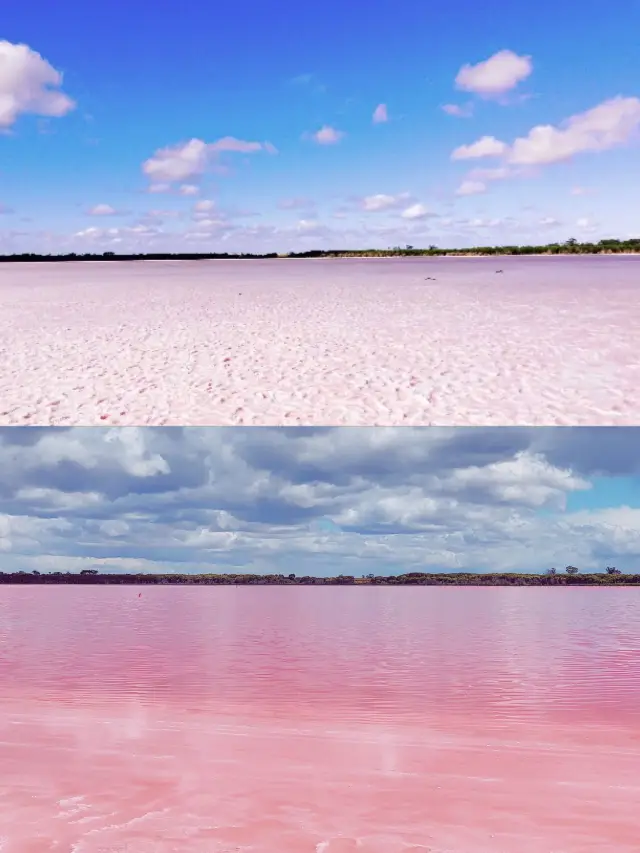 Australia's autumn is breathtakingly beautiful, don't miss it. 