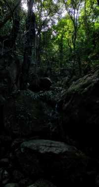 海南深山大環線徒步·瓊中白馬嶺1-4峰連穿。。