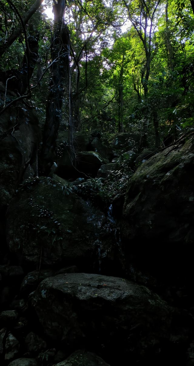 海南深山大環線徒步·瓊中白馬嶺1-4峰連穿。。