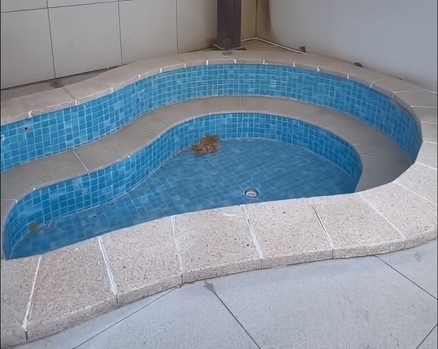 沉浸式入住營口鱸魚圈玖玖小憩溫泉民宿