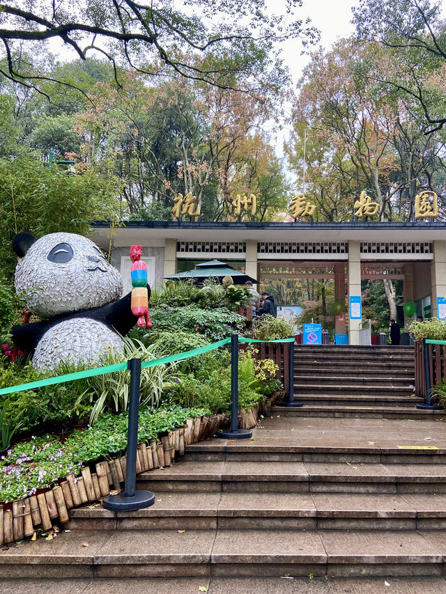 🐘🦒杭州動物園|又去看動物了🥳