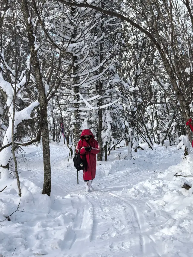 백두산 - 라오리커 호수 원시림 트레킹