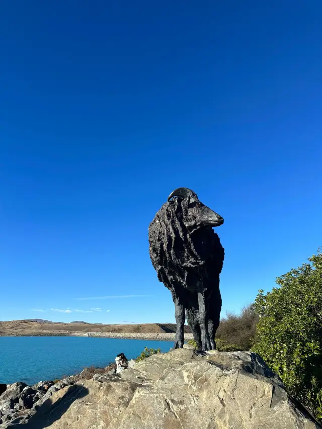 8-Day New Zealand Trip with Friends: A Worry-Free Travel Guide