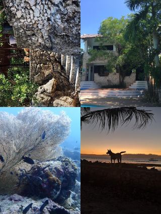 Blue Orchid Resort | Snorkeling Paradise