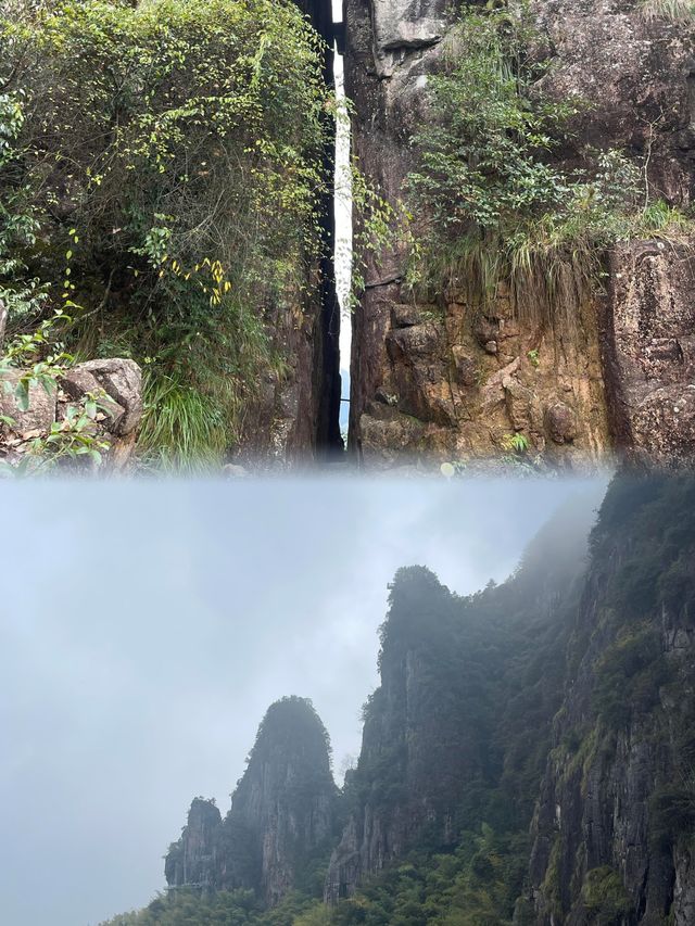 麗水·南尖岩景區｜雲海深處的夢幻之旅，開啟心靈桃源