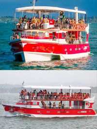 Whale Watching in Mirissa, Sri Lanka