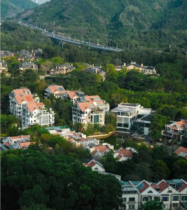 深圳徒步·休閒綠道適合新手任務