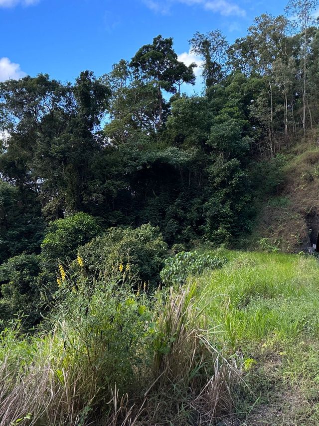 4日盡覽澳洲 住到不想回家