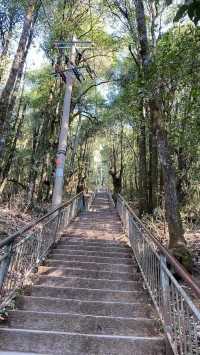 一次很開心的旅程
