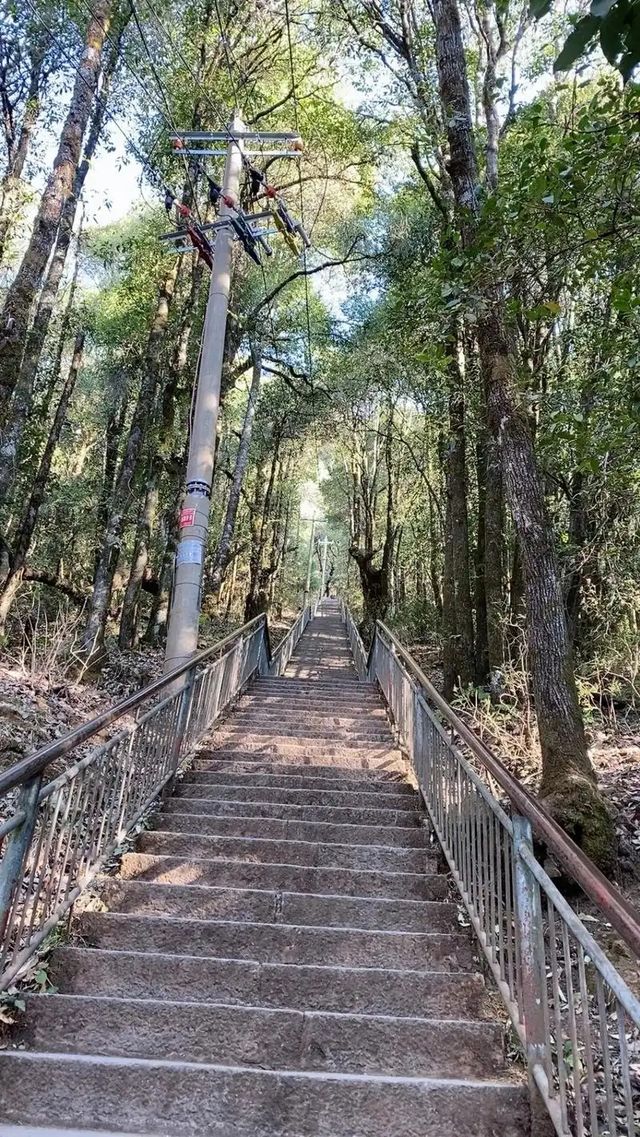 一次很開心的旅程