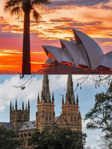 Fall in Love with Sydney