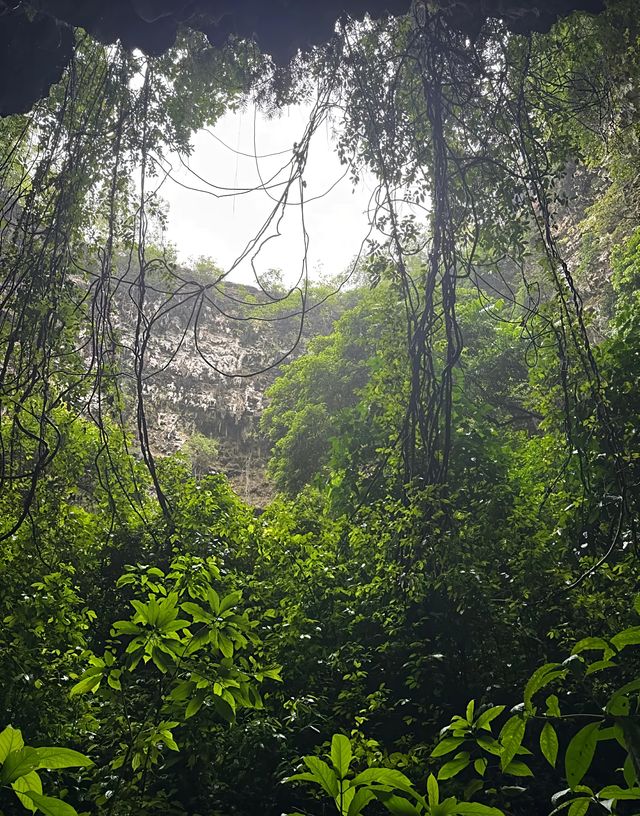 探索自然的秘密花園｜馬格朗市 Jomblang 洞穴的奇妙之旅