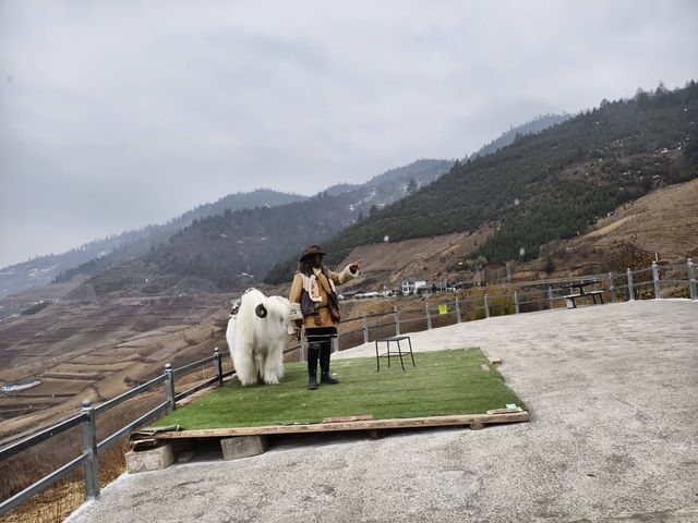哈巴雪山