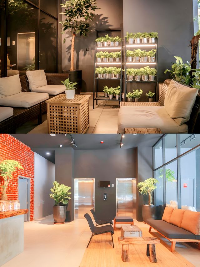 新山Z酒店 | 潮流與舒適嘅完美邂逅