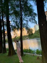 深圳四海公園的美景讓人流連忘返！