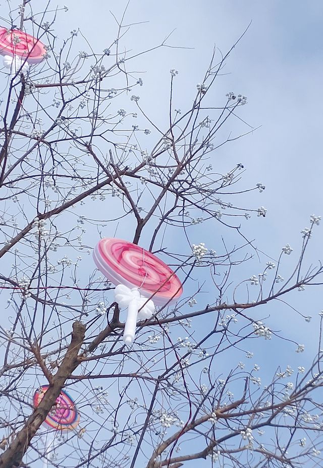 冬日清晨，在海邊虞美人廣場踏雪