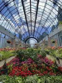 Discover Auckland's Domain Wintergardens: A Free Floral Escape