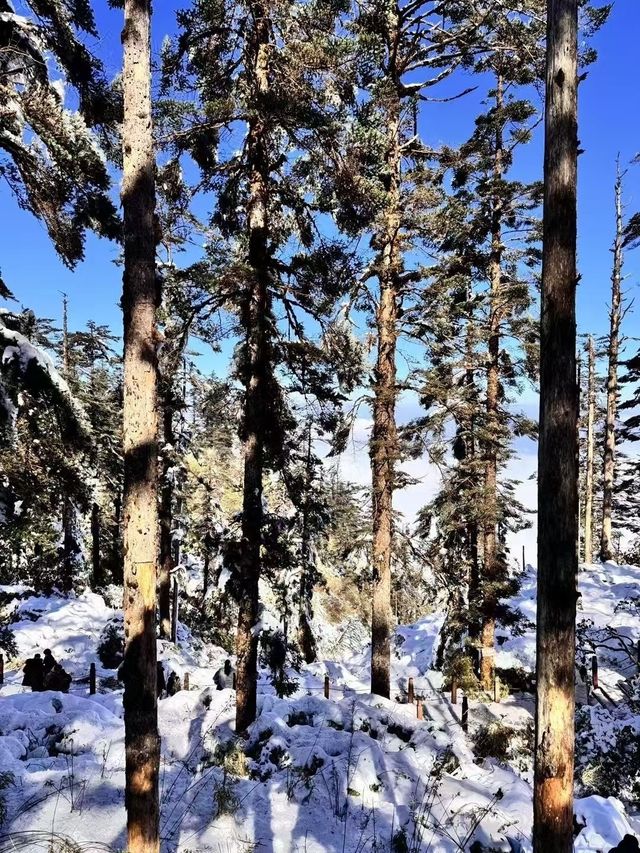 成都周邊一個小時就能到達這個玩雪聖地！