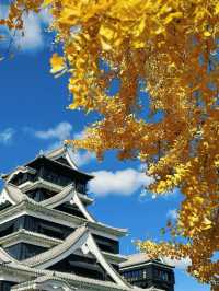 5天行程 體驗日本 比失戀還難以忘懷