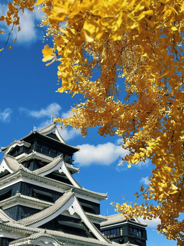 5天行程 體驗日本 比失戀還難以忘懷