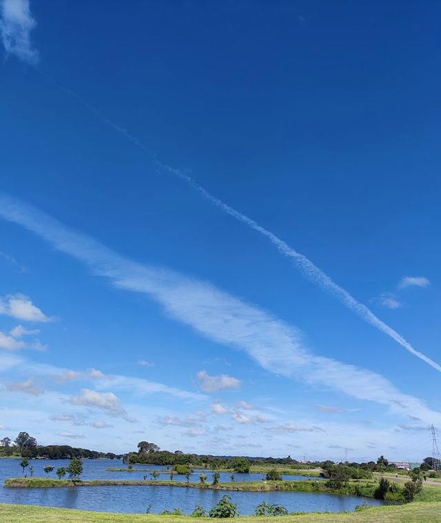 探秘巴里吉公園｜庫里提巴的綠色寶藏與水豚的慵懶風情