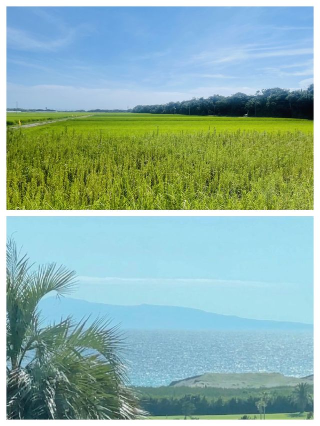 探秘日本館山市：一場穿越時空的海濱之旅