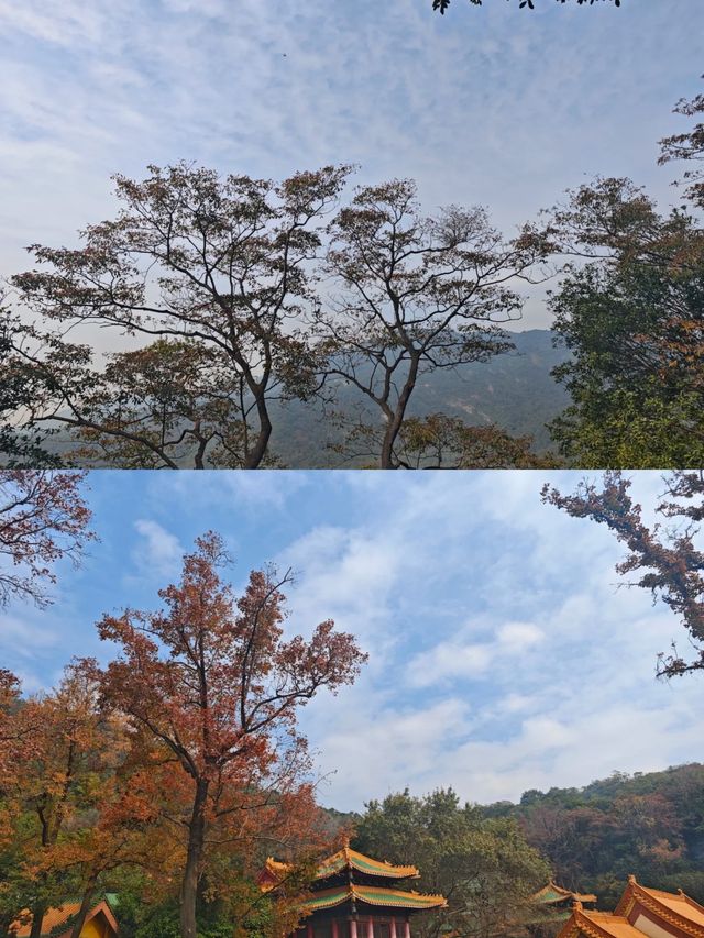 圭峰山：半城煙火半城仙的人間仙境