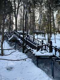 春節滑雪看這裡哈爾濱-雪鄉超全攻略