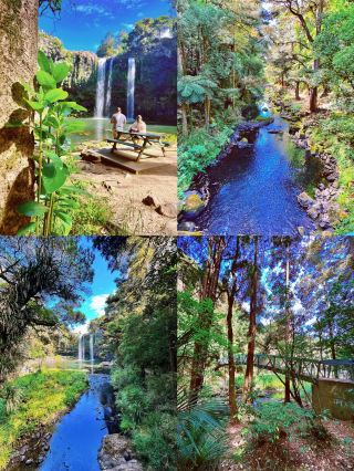 Whangarei: Encounter the Dreamland of New Zealand's North Island