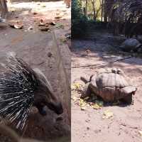 達累斯薩拉姆動物園，與非洲野生動物親密接觸的超讚體驗