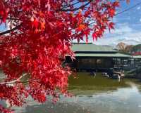 日本堺市大仙公園｜隱藏在城市中的趣味遊玩寶藏地