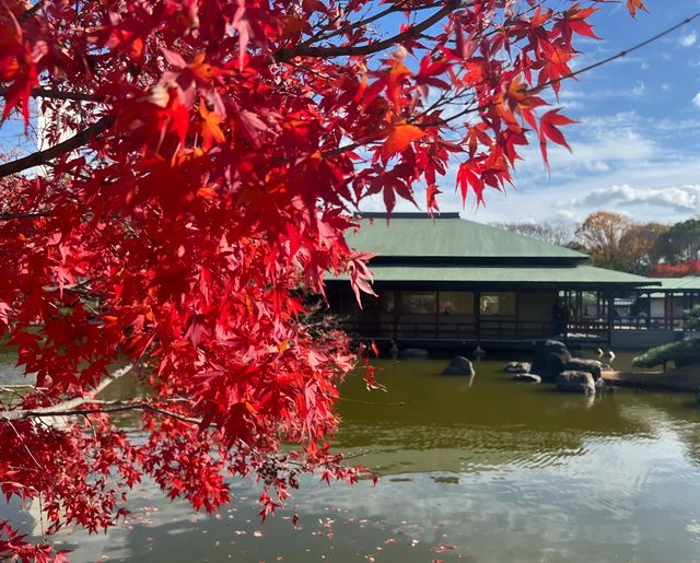 日本堺市大仙公園｜隱藏在城市中的趣味遊玩寶藏地