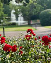 誤入英式油畫，邂逅綠地公園的慢時光