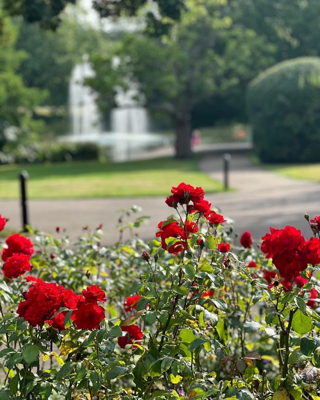 誤入英式油畫，邂逅綠地公園的慢時光