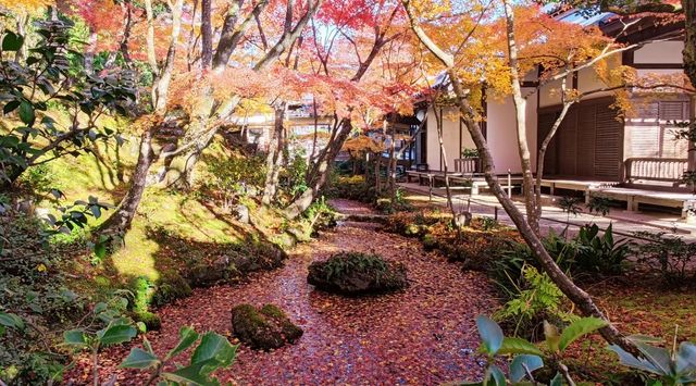 常寂光寺