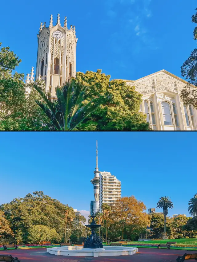 Auckland city day tour: Feel the collision of art and history