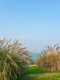 重慶春日踏青出遊好去處：廣陽島
