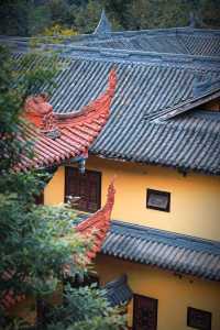 探秘新津白雲寺：成都周邊的隱世佛國