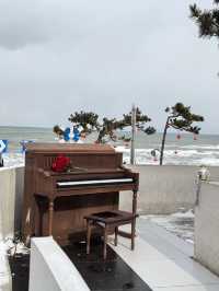 寒假去青島-威海 美到喊出聲誰還沒去過