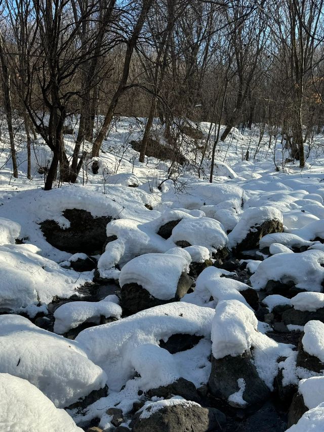 黑龍江雪鄉等地｜賞雪泡溫泉愜意過冬攻略