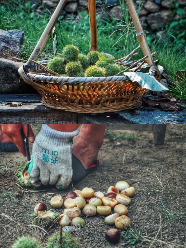 Hidden Villages in Hubei: Time to Visit the Countryside!