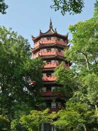 冬遊衢州-麗水超詳細攻略 看這篇就夠啦