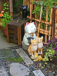 福井小眾景點推薦，感受別樣旅行