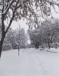 邊境線上的冰雪王國｜黑河
