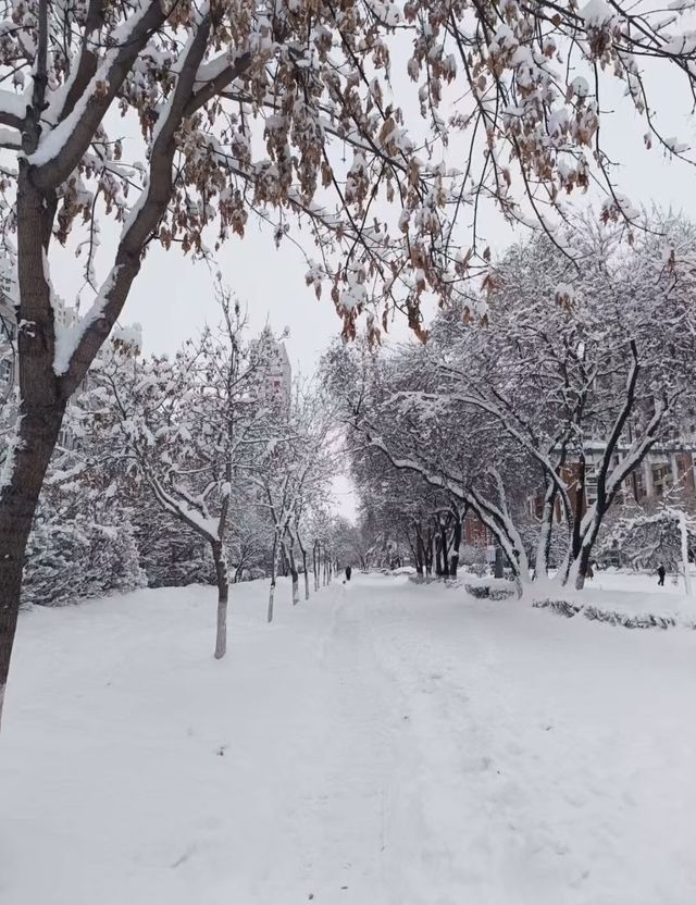 邊境線上的冰雪王國｜黑河