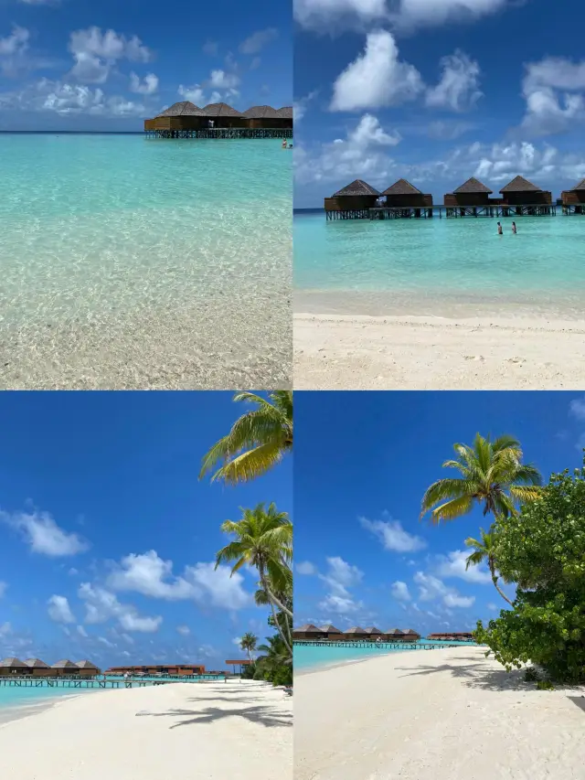 Male: A Dream City in the Indian Ocean