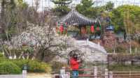 常熟虞山：邂逅春日梅海與中式園林的浪漫