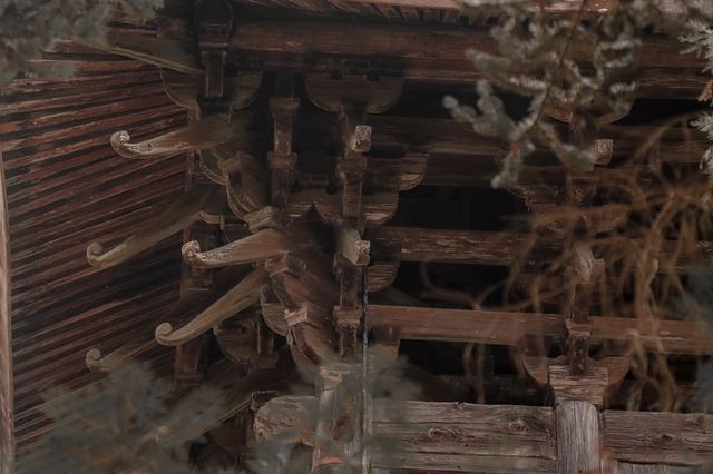 舊時光的對話_景寧_時思寺