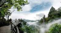 江西多地景區 免票！