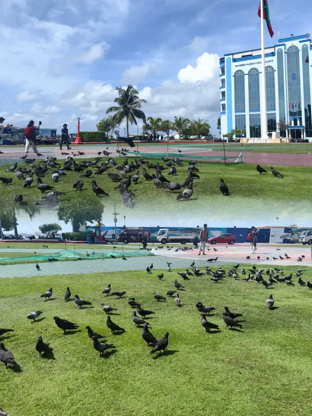 Strolling Through Malé, the World's Smallest Capital